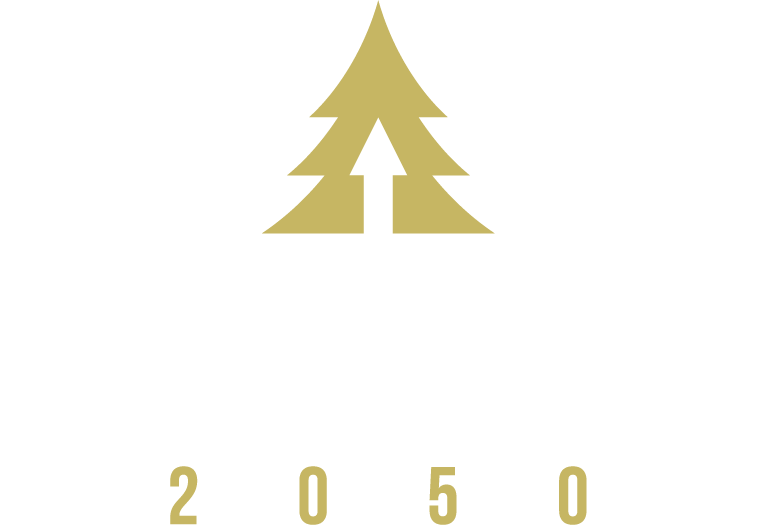 img-25