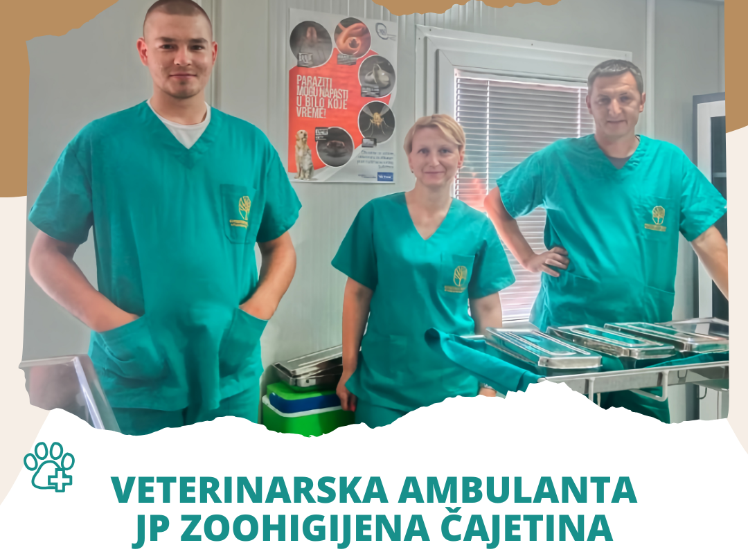 Зоохигијена Чајетина